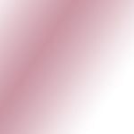 rose 2