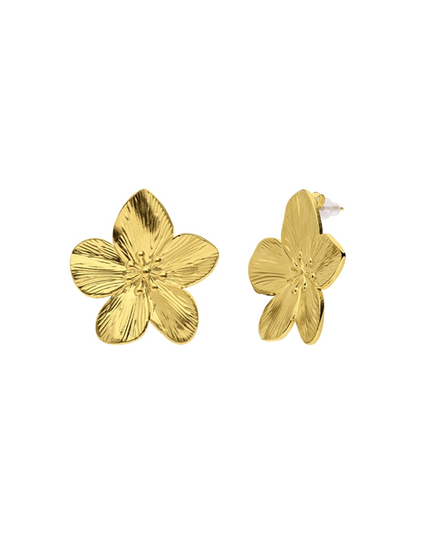 Lucardi Ohrringe Stahl - Gelbgold Damen