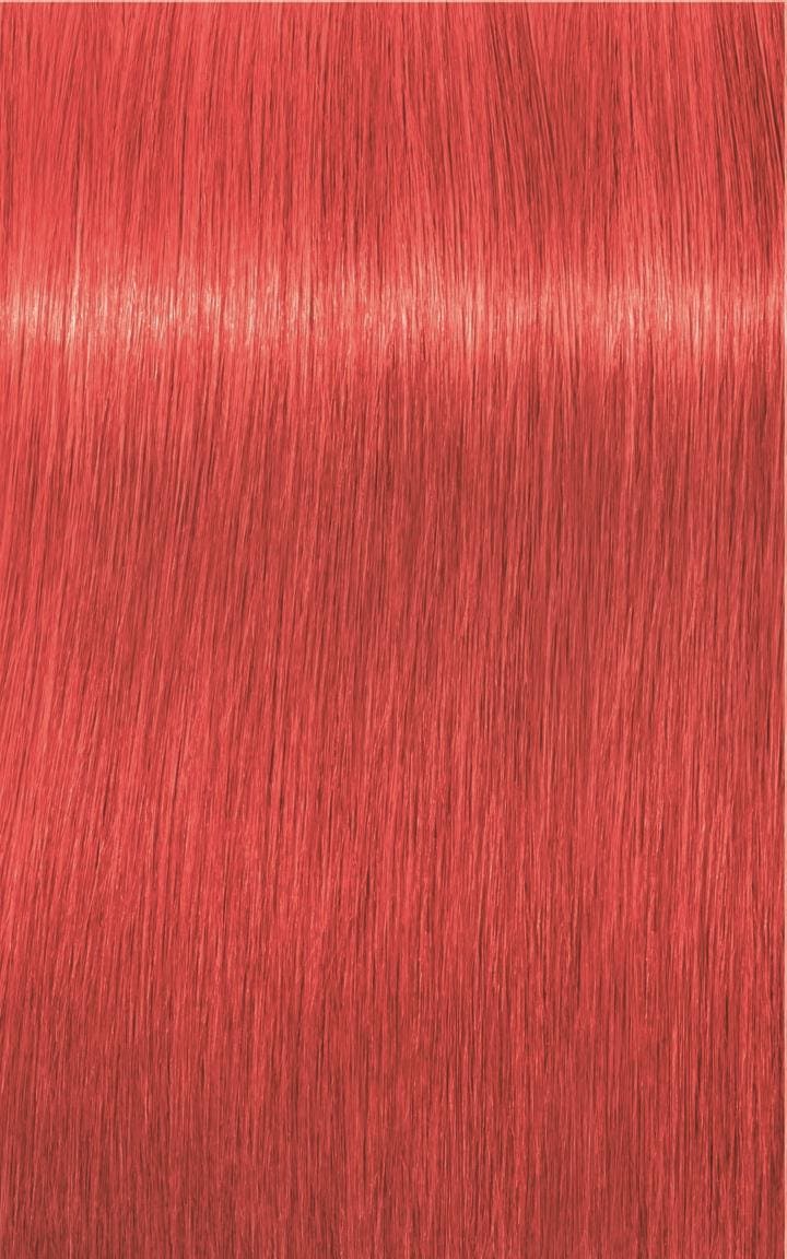 0-88 Rot Konzentrat 60 ml