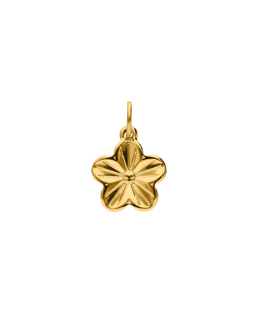 Lucardi Anhänger Stahl - Gelbgold legiert Gold Damen