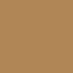 deep camel