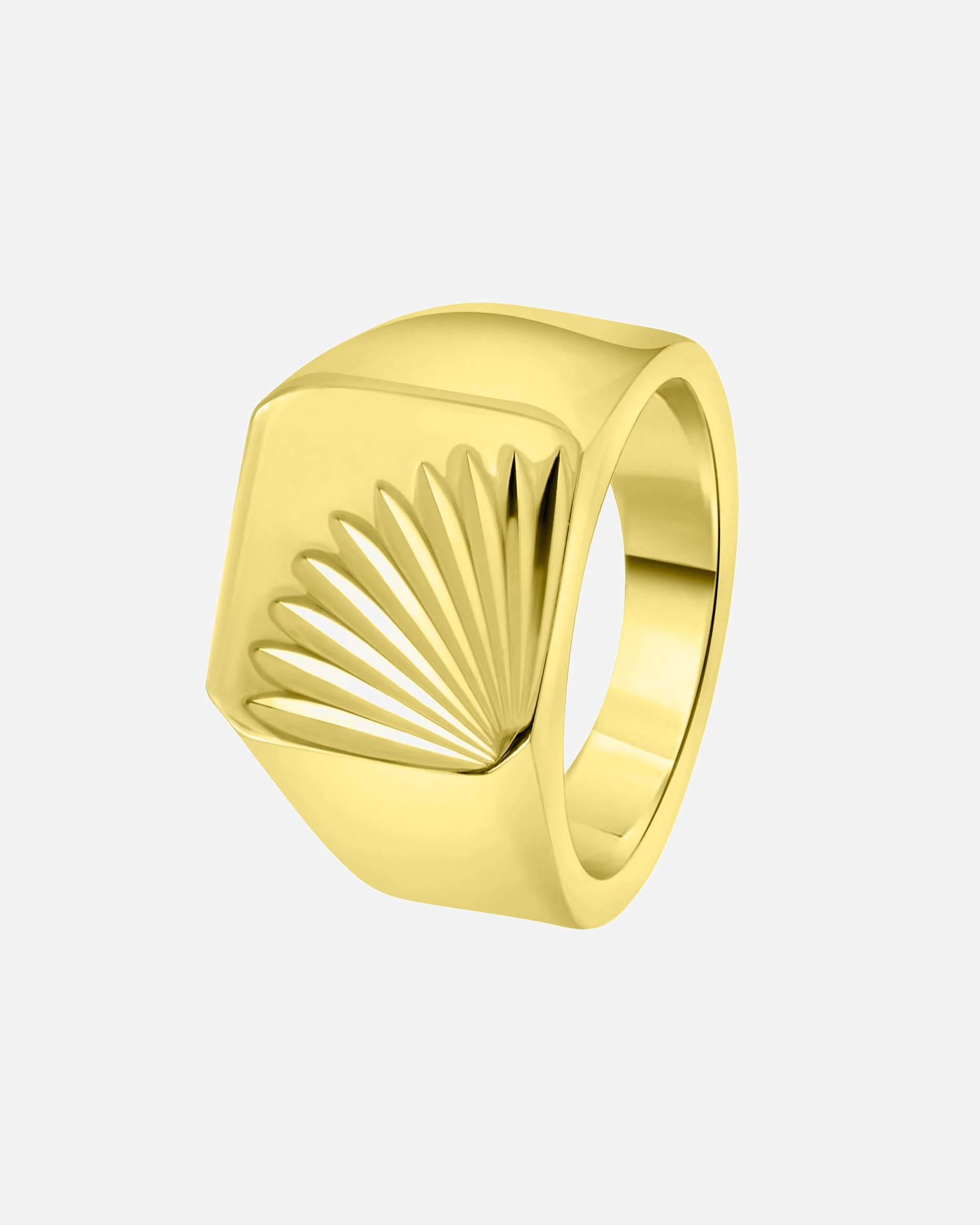 Ring für Männlich Lucardi Ringe Stahl - goldfarbig 69mm