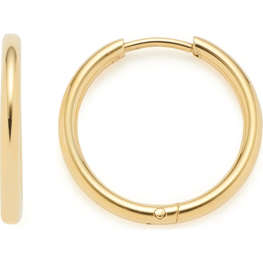 Leonardo Creolen Edelstahl gelbgold Damen