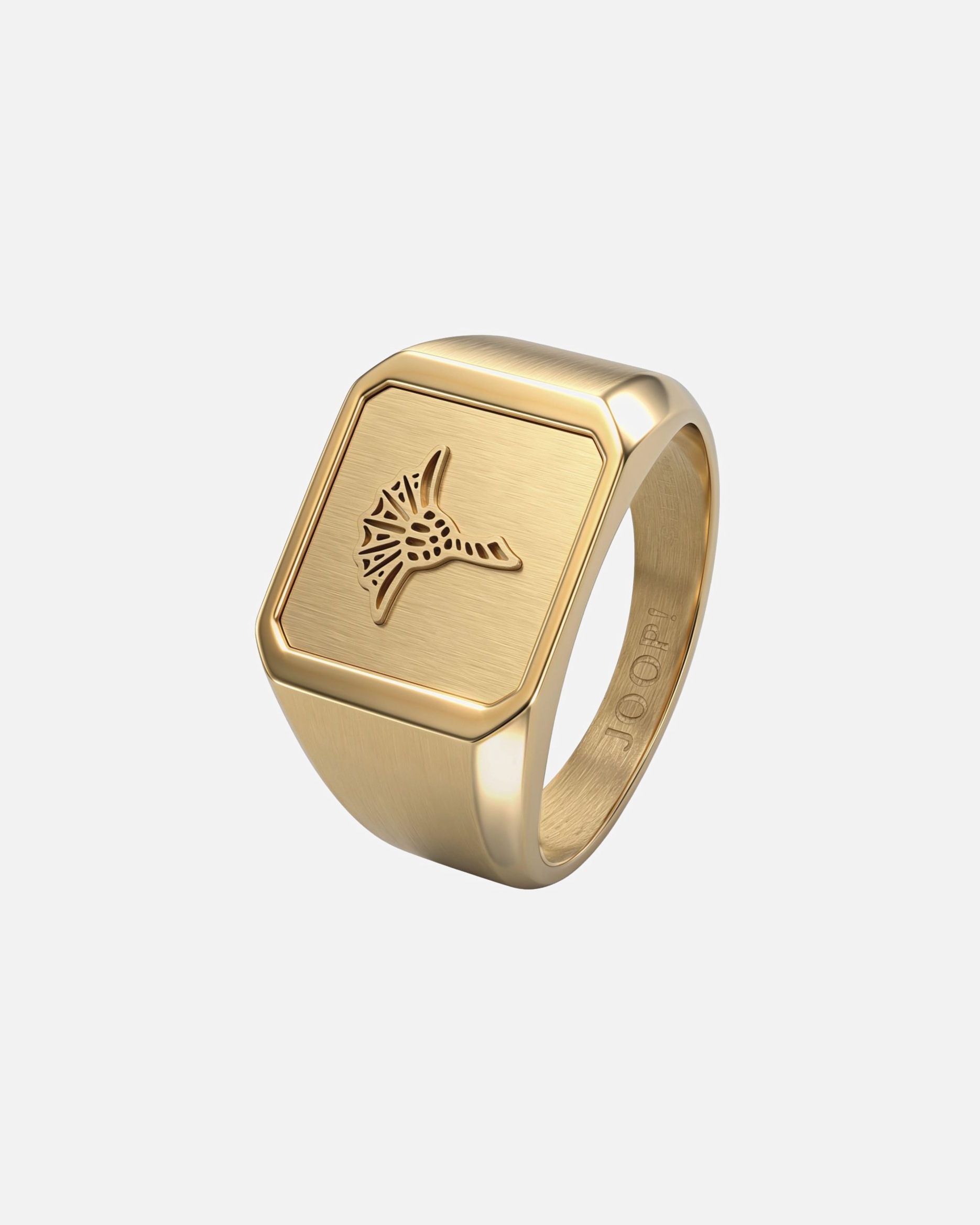 Ring für Männlich JOOP! Ring 64/20