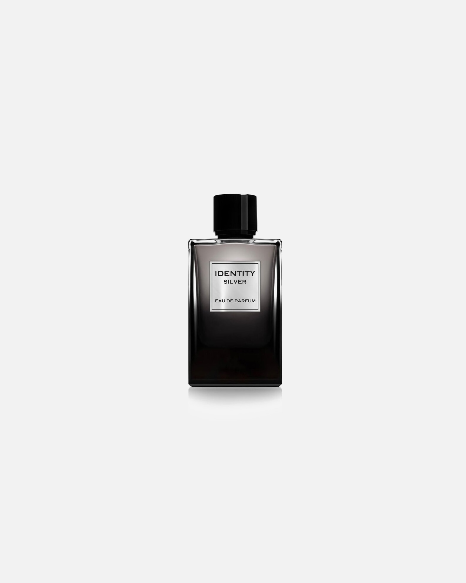 Eau de Parfum für Männlich GA-DE Identity Silver Pour Homme - EdP 100 ml