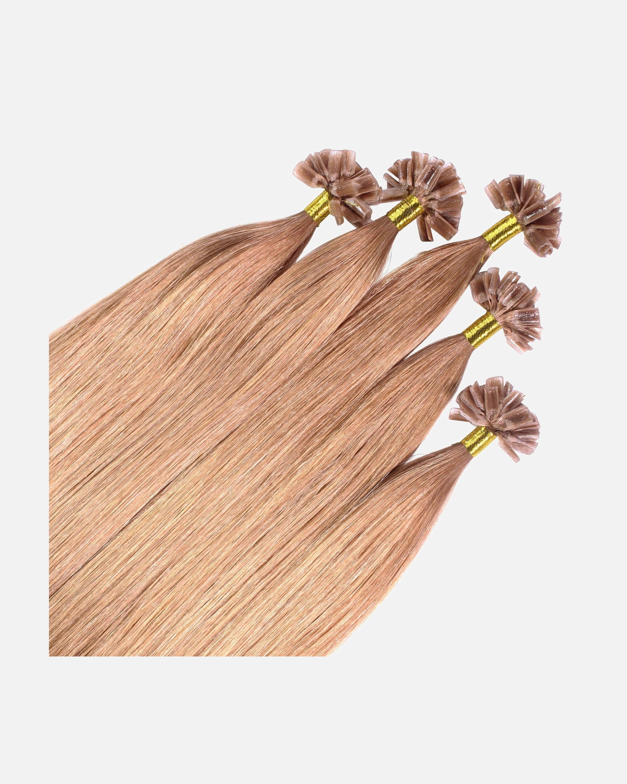 Extensions für Weiblich hair2heart Bonding Extensions Premium Echthaar #8/01 Hellblond Natur-Asch 0,8g 60cm