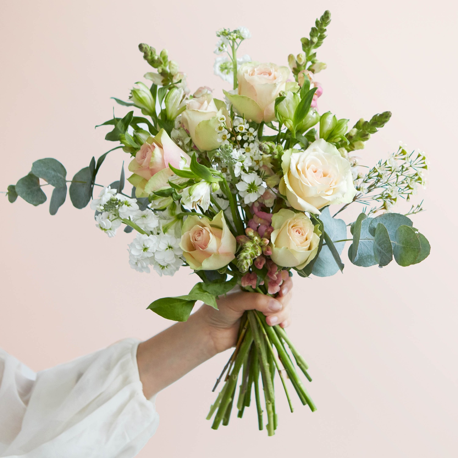 bloom wild produkte harper online kaufen douglas