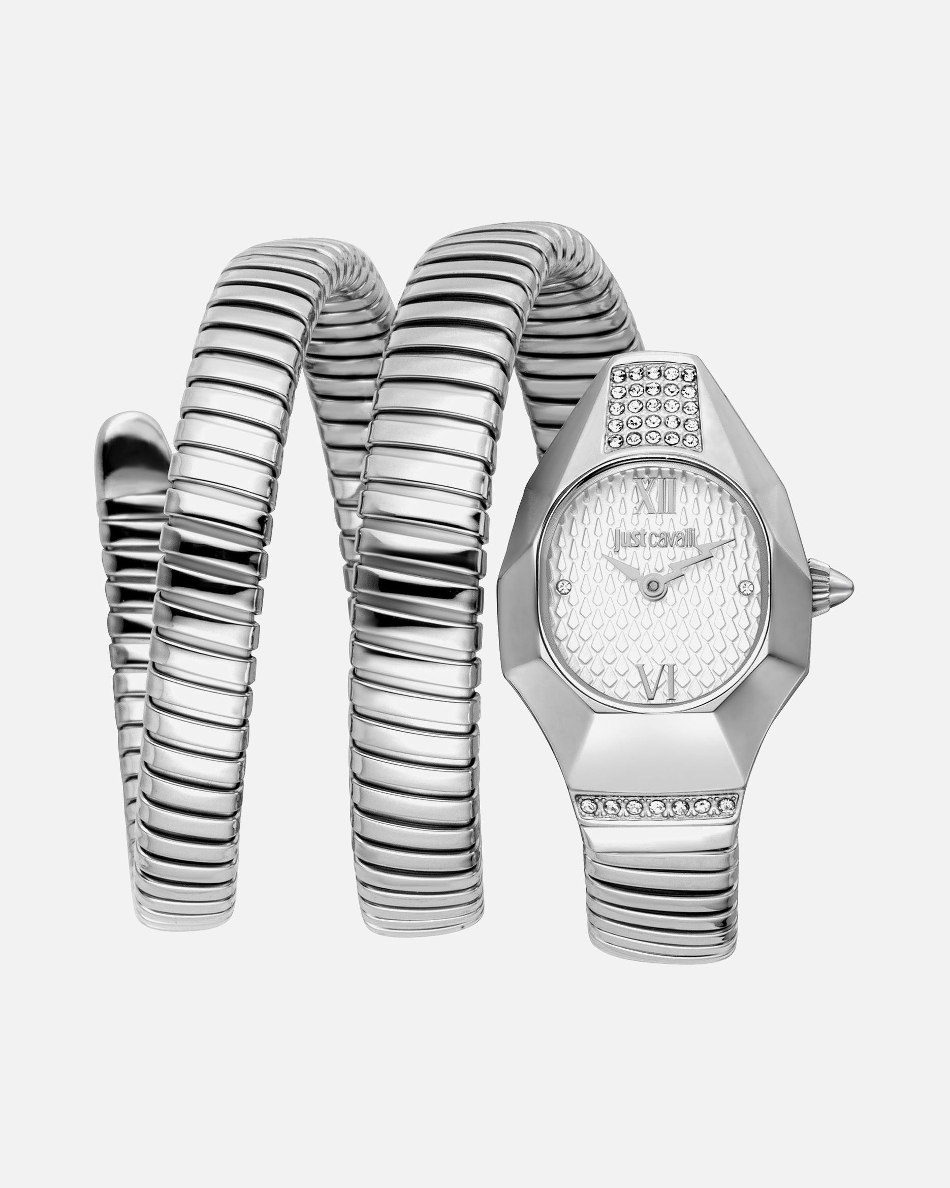 Uhr für Weiblich Roberto Cavalli Damenuhr Edelstahl silber