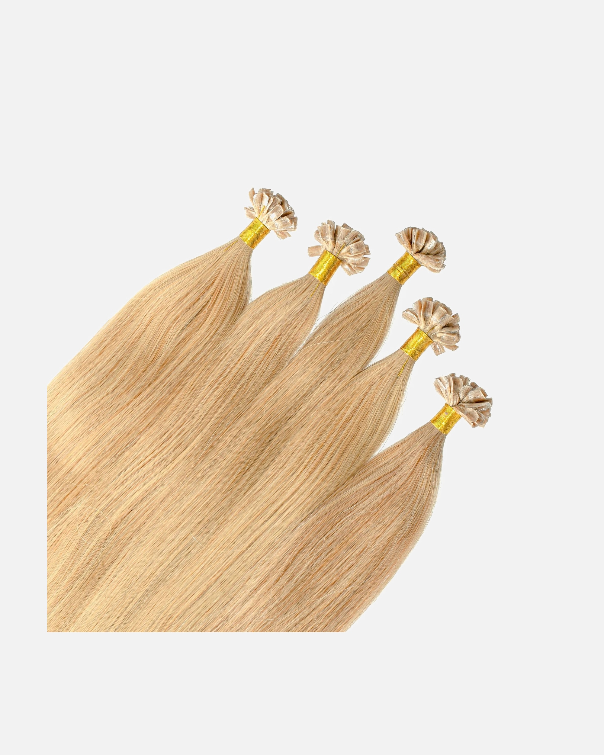 Extensions für Weiblich hair2heart Bonding Extensions Premium Echthaar #9/31 Lichtblond Gold-Asch 0,8g 50cm
