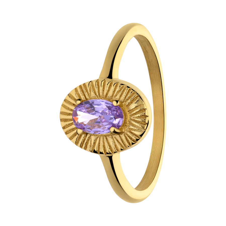 Lucardi Ring Stahl - Gelbgold 53mm Damen
