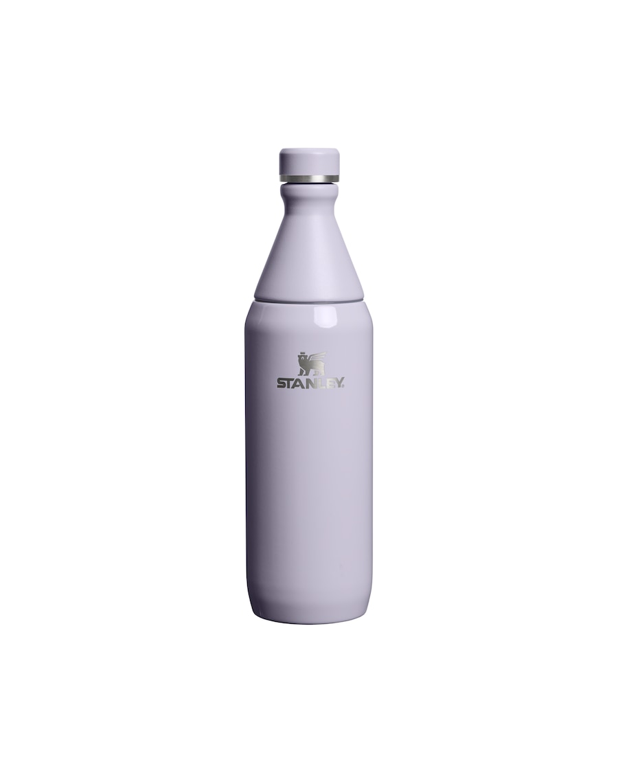 Stanley 1913 Isolierflasche - 0,59L THE ALL DAY SLIM BOTTLE Purple Dust Silber