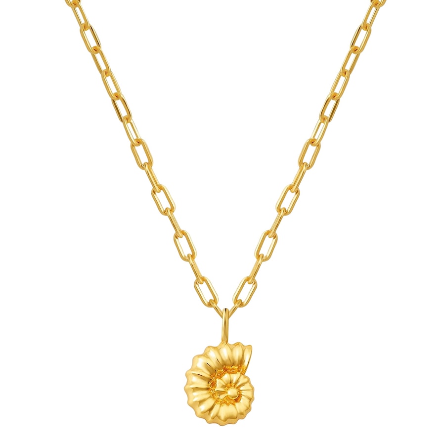 Glanzstücke München Halskette Muschel aus Sterling Silber in gelbgold 40,0 cm Basiskette + 5,0 Verlängerung Damen
