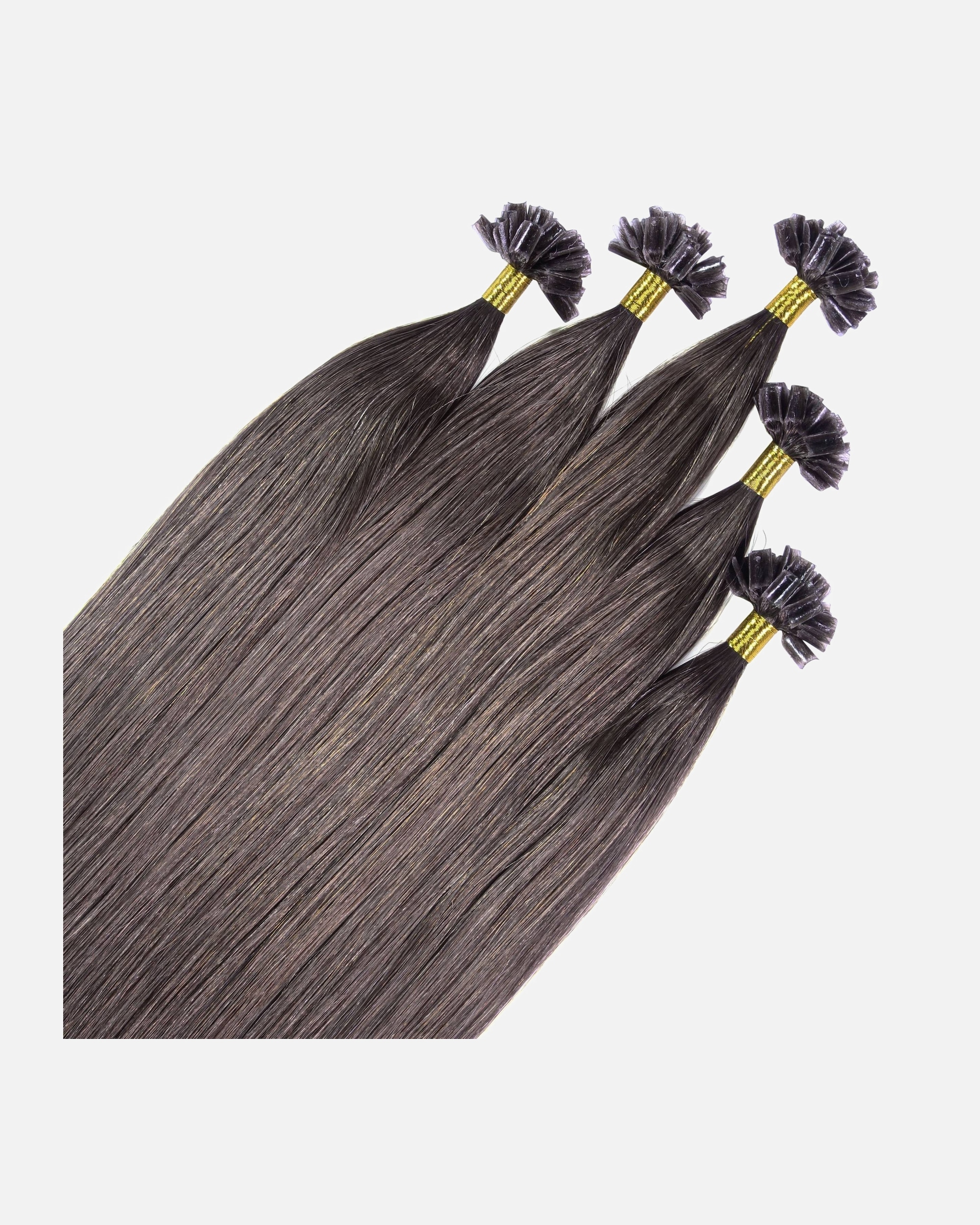 Extensions für Weiblich hair2heart Bonding Extensions Premium Echthaar #6/0 Dunkelblond 1g 40cm