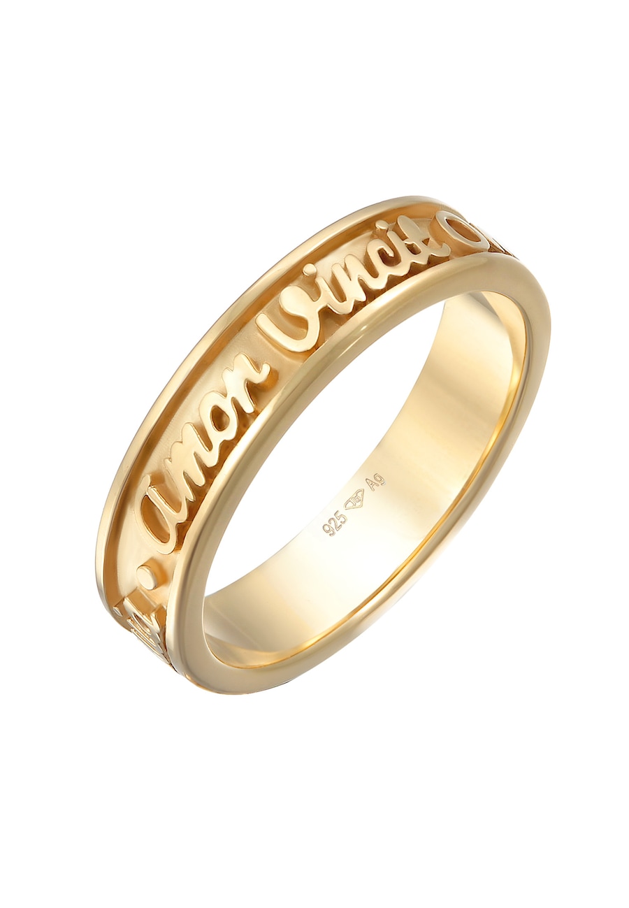 Elli Bandring Worte Amor Vincit Omnia 925 Silber 52 Damen