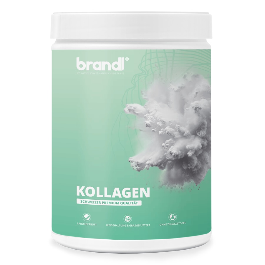 Brandl Nutrition COLLAswiss Kollagen aus Schweizer Weidehaltung Geschmacksneutral 555 g