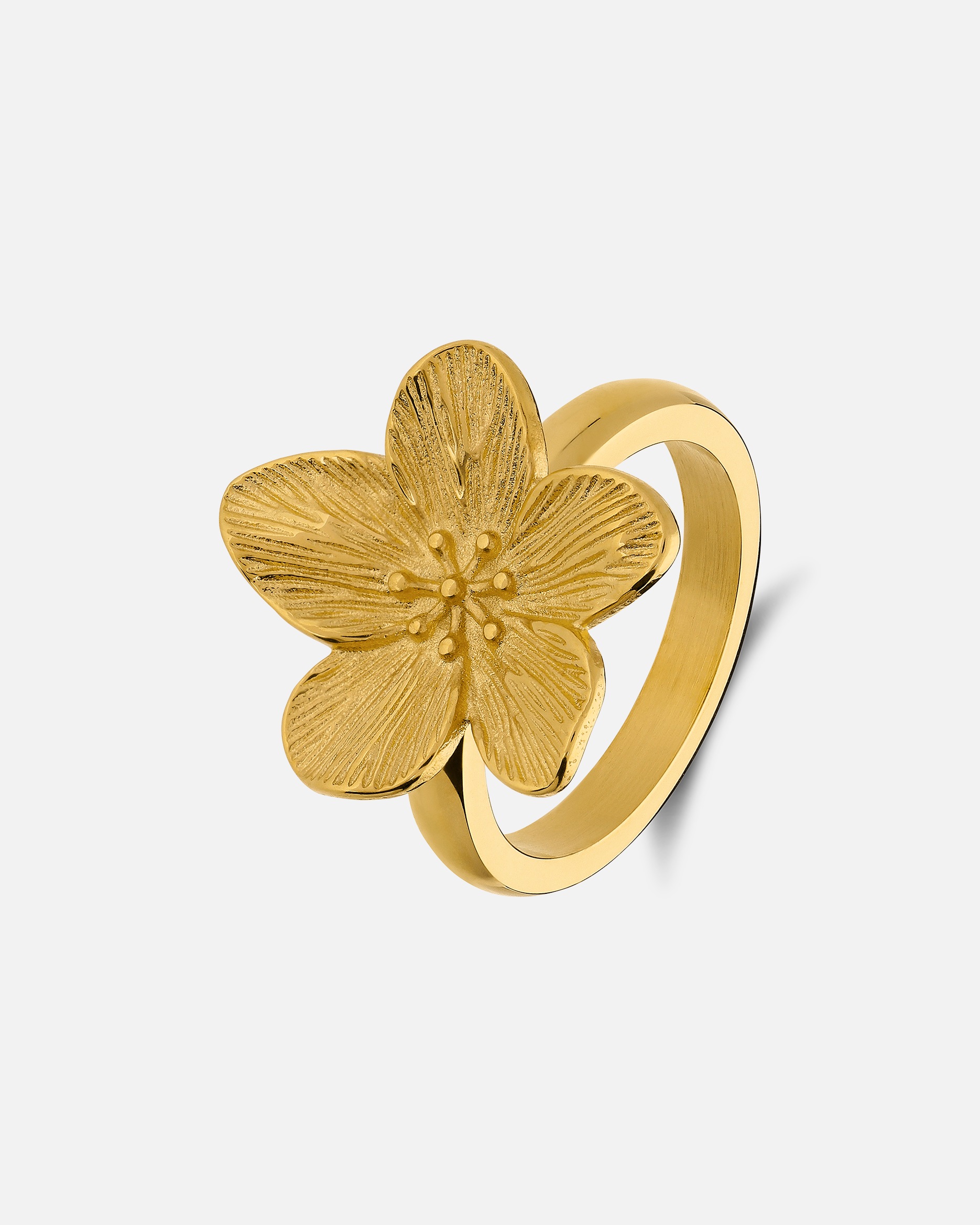 Ring für Weiblich Lucardi Ring - Stahl 53mm