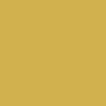 Dijon Gloss