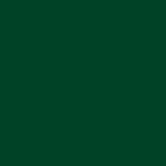 olive green-seaweed green