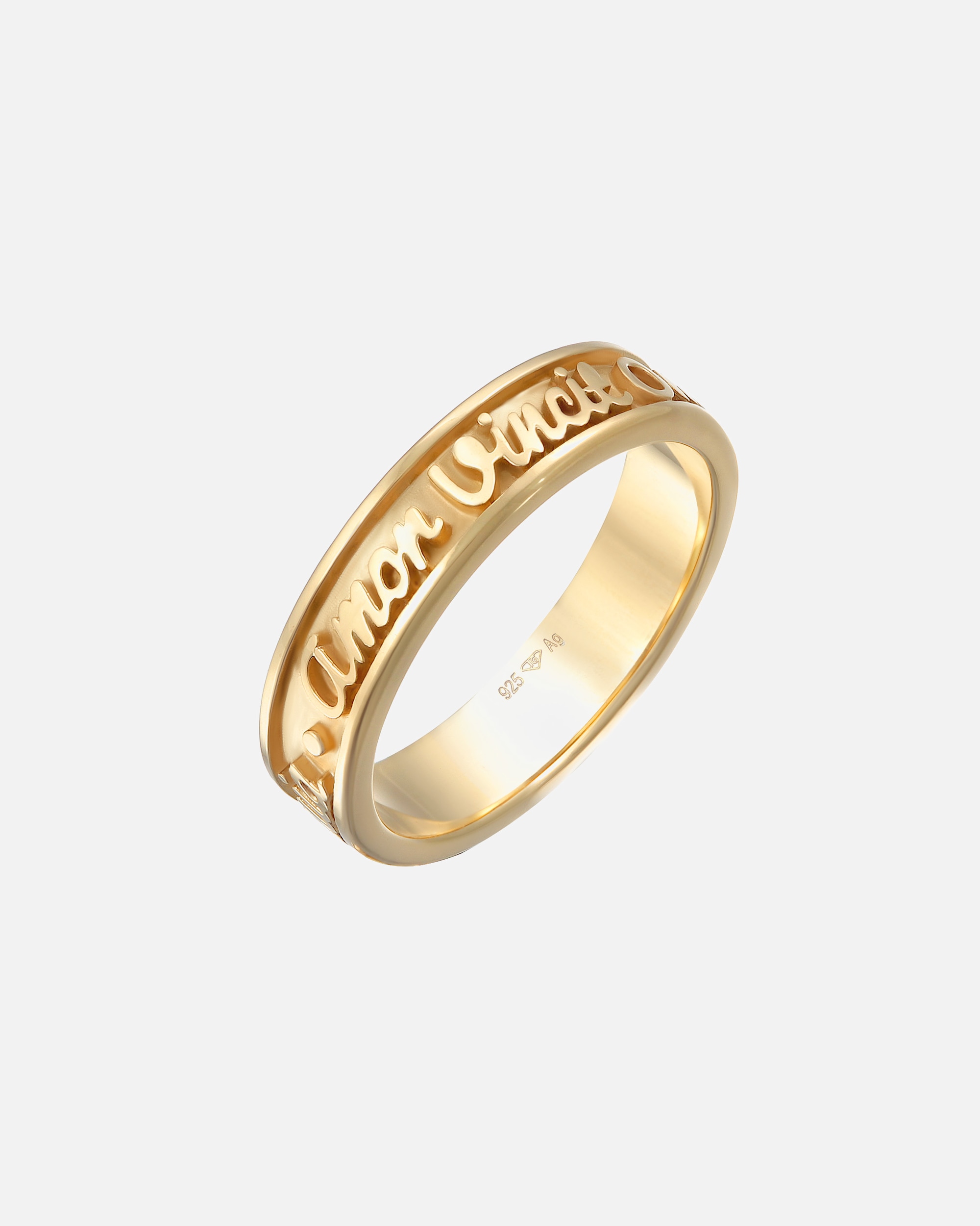 Ring für Weiblich Elli Bandring Worte Amor Vincit Omnia 925 Silber 54