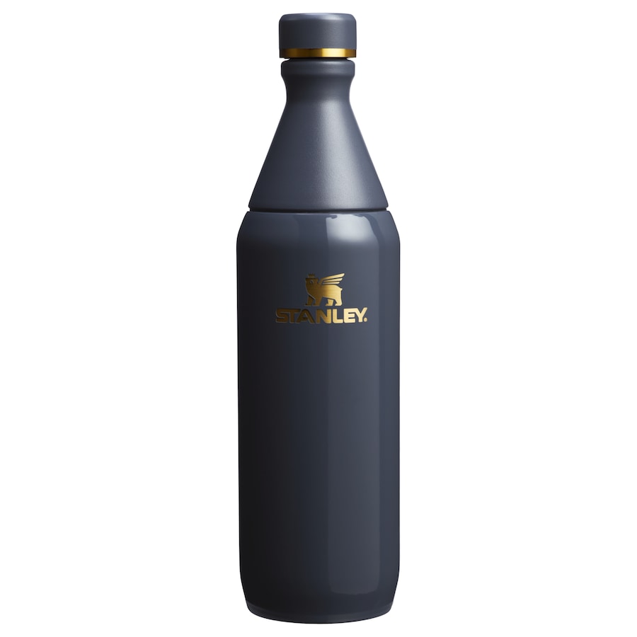 Stanley 1913 Isolierflasche - 0,59L THE ALL DAY SLIM BOTTLE Twilight Gloss Grau