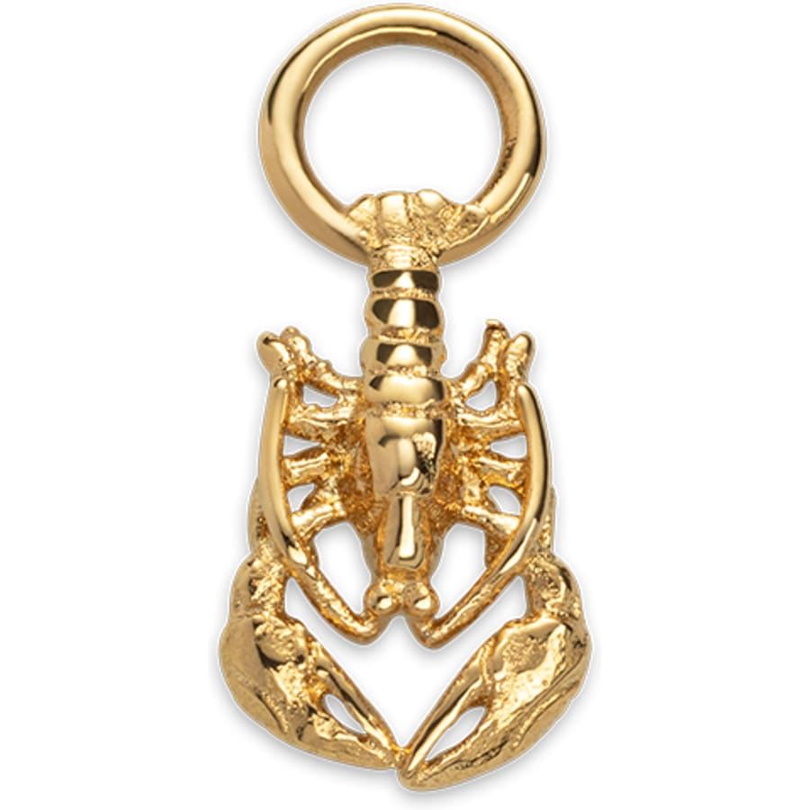 Paul Hewitt Charm Edelstahl, recycelt gold Damen