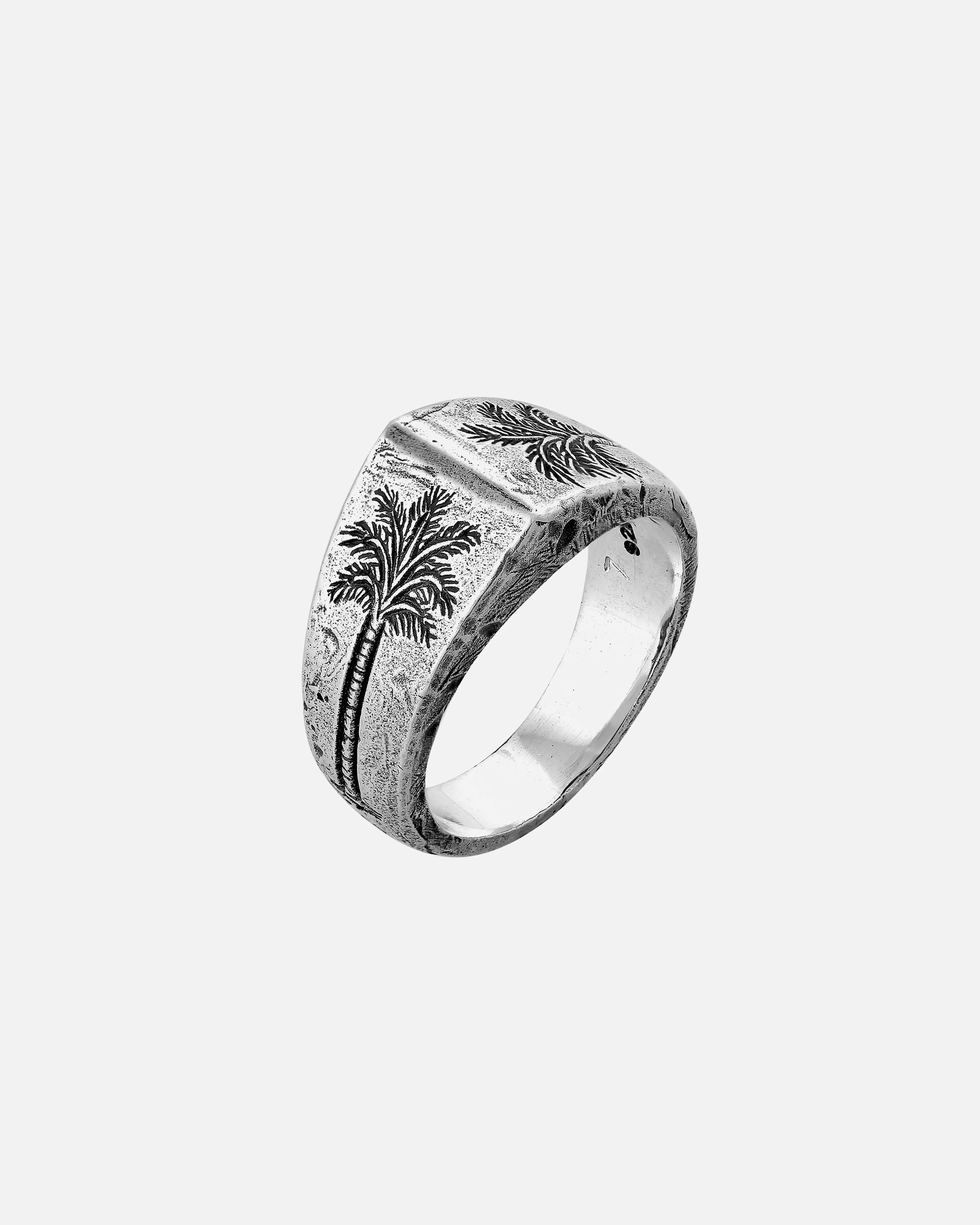 Ring für Männlich Haze & Glory Default Brand Line Herren Siegelring - Coconut Society 925 Silber 66