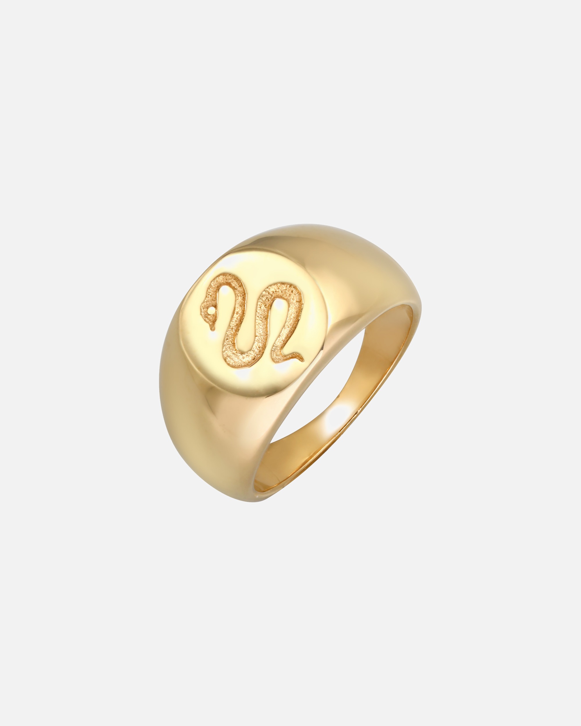 Ring für Weiblich Elli PREMIUM Siegelring Schlange Kraft Symbol 925 Silber 58