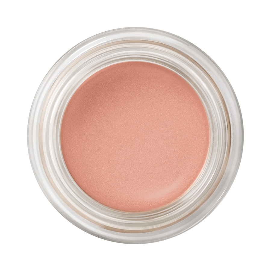 MAC Pro Longwear Paint Pot Lidschatten 12 - LAYIN LOW 5 g Nude