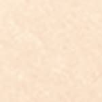 602 - 602 - NEUTRAL NUDE