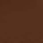 COOL BROWN