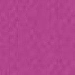 0 - VIOLETTE