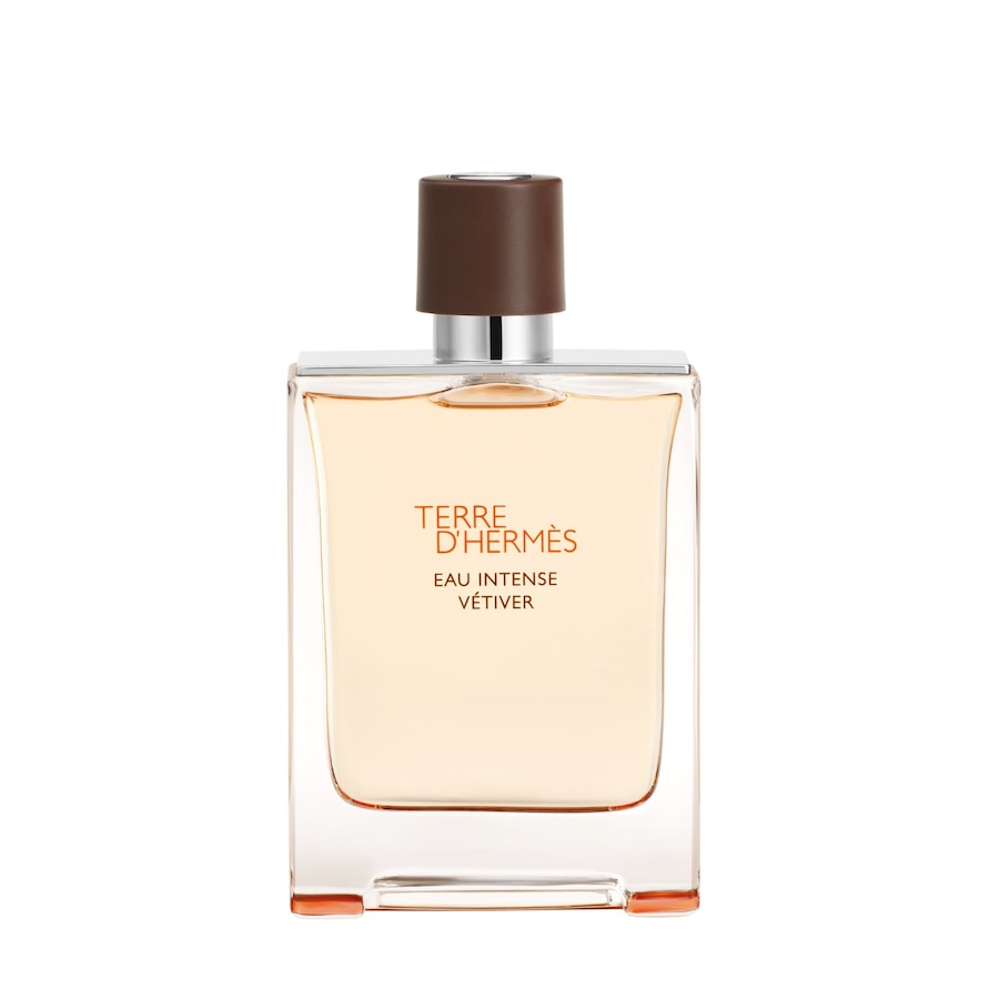 HERMÈS Terre d’Hermès Eau Intense Vétiver de Parfum 100 ml Herren