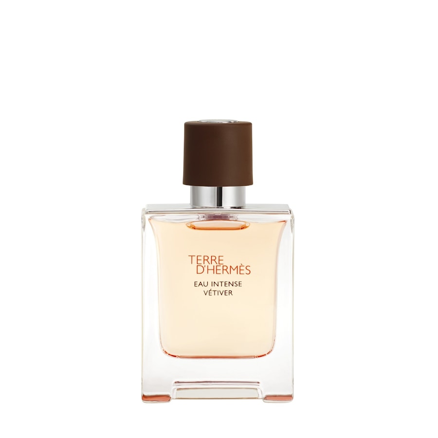 HERMÈS Terre d’Hermès Eau Intense Vétiver de Parfum 50 ml Herren