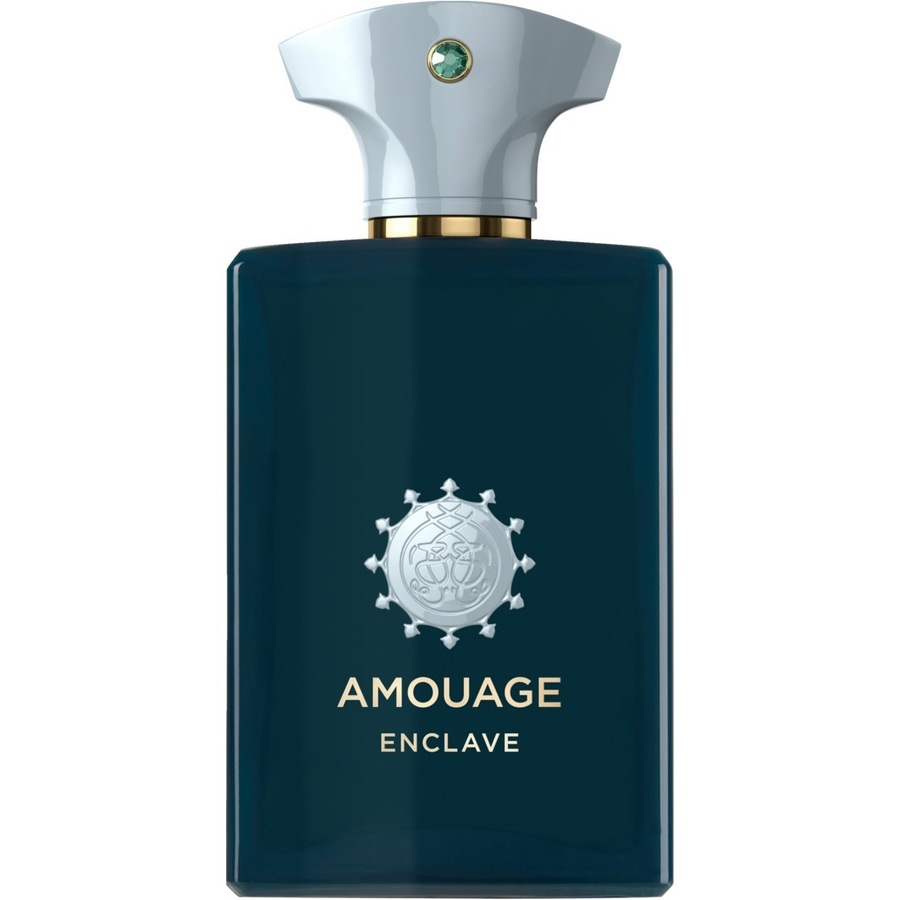 Amouage Enclave Eau de Parfum 100 ml unisex
