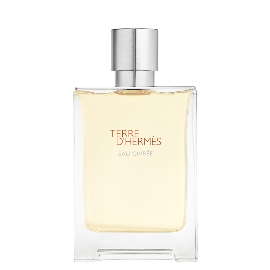 HERMÈS Terre d’Hermès Eau Givrée de Parfum 100 ml Herren
