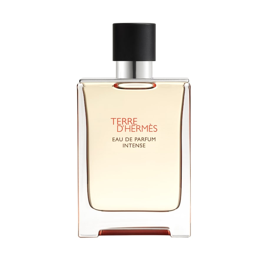 HERMÈS Terre d’Hermès Intense Eau de Parfum 100 ml Herren
