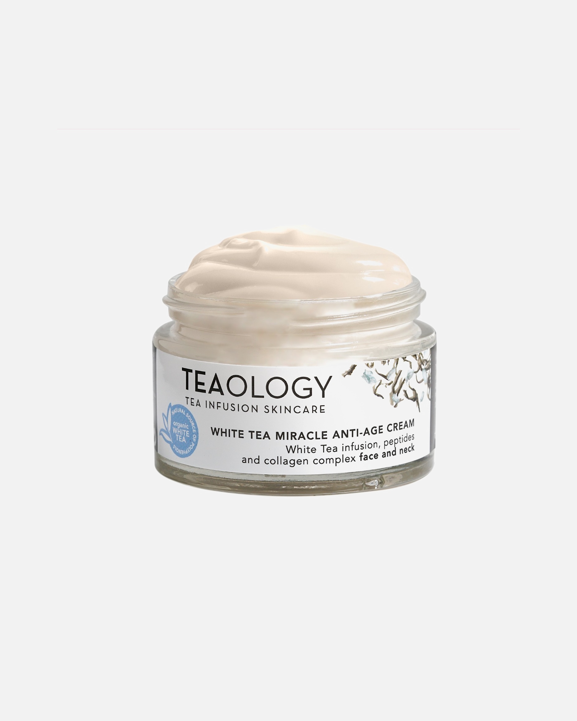 Gesichtscreme für Unisex Teaology White Tea Miracle Anti-Age Cream (anti-wrinkle) 50 ml