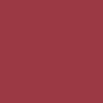 13 - CAMEO
