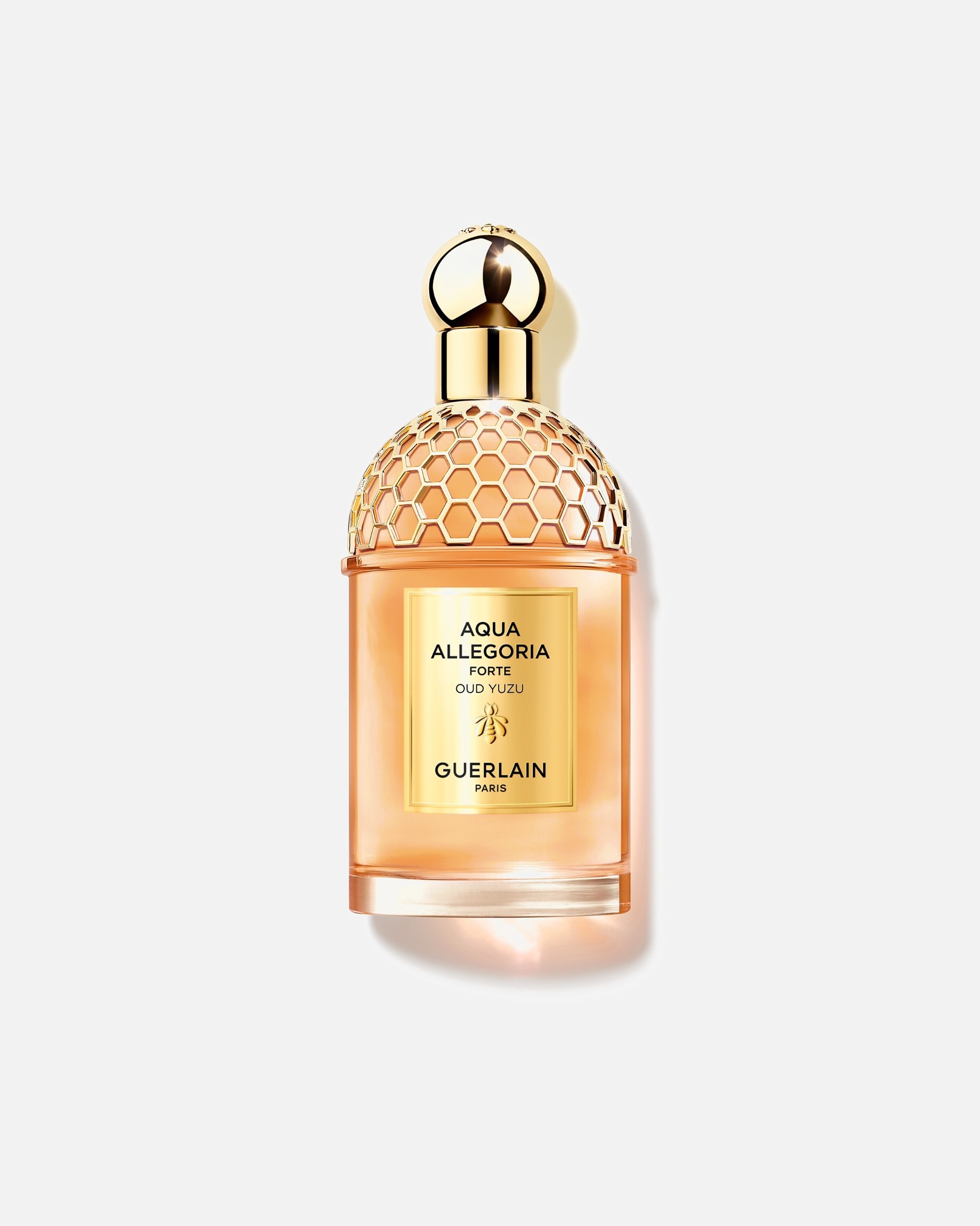 Parfum für Weiblich Guerlain Aqua Allegoria Forte Oud YuzuEau de 125 ml