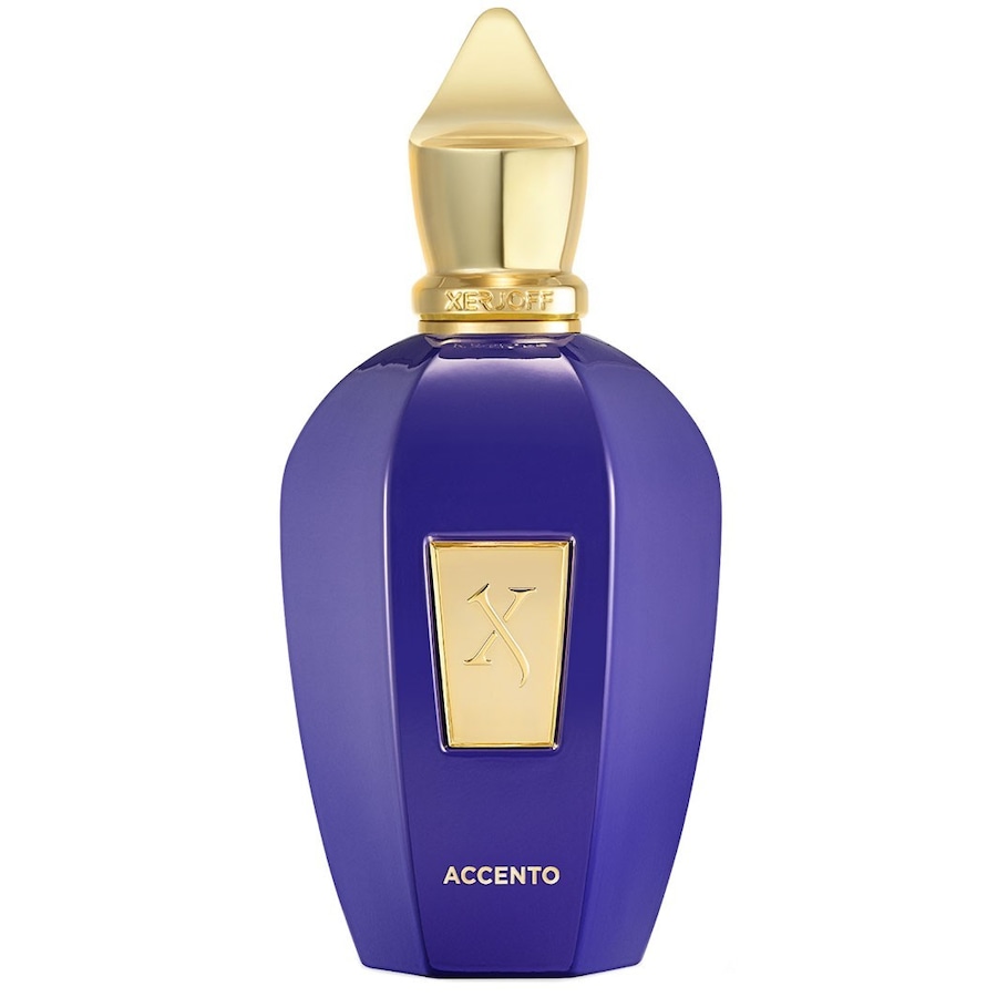 XERJOFF Vibe Accento Eau de Parfum 100 ml unisex